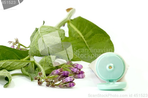 Image of Comfrey-Creme