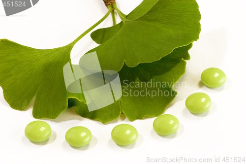 Image of Ginkgo Pills