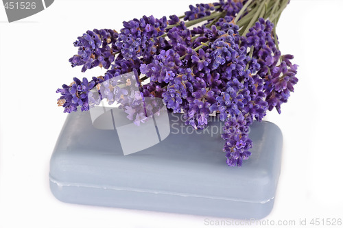Image of Blue Lavender Soap