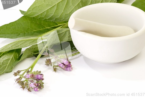Image of Comfrey Preparation