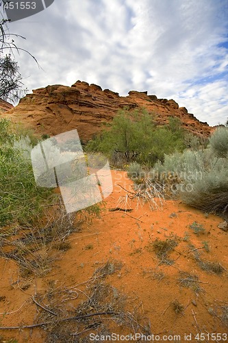 Image of Looking into the Redrocks in Snow Canyon - Utah