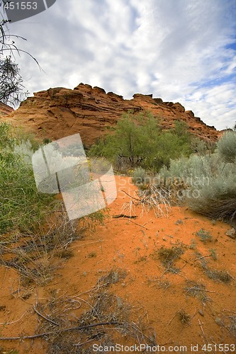 Image of Looking into the Redrocks in Snow Canyon - Utah