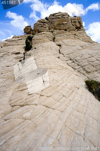 Image of Close up on the Rocks with a Small Tree - Snow Canyon Utah