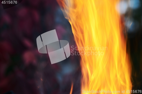 Image of burning flame on a background of autumn leaves
