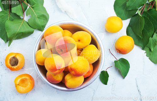 Image of apricots