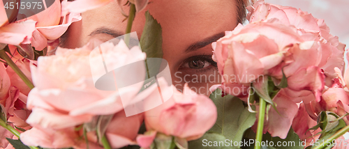 Image of Close-up of a bouquet of pink roses