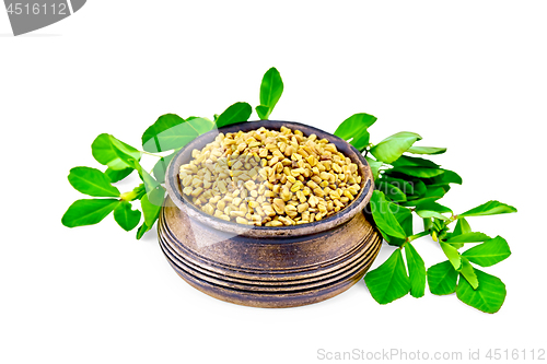 Image of Fenugreek with green leaves in clay bowl