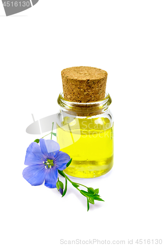 Image of Oil linenseed with flower