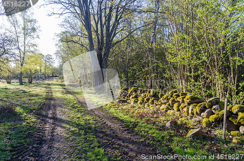 Image of Beautiful backlit dirt road in the morning sunshine by spring se