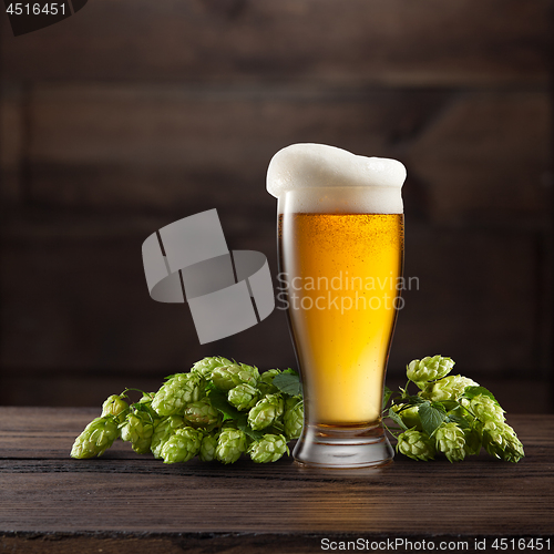 Image of Still life with a glass of beer and hop.