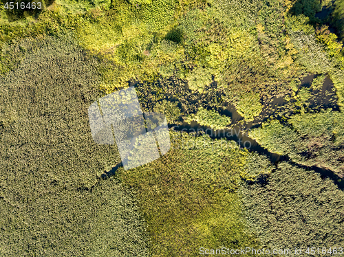 Image of Panoramic view from the drone, aerial photography of landscape with greenery of forests, fields and source of the river.