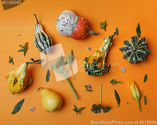 Image of autumn pattern from decorative pumpkin