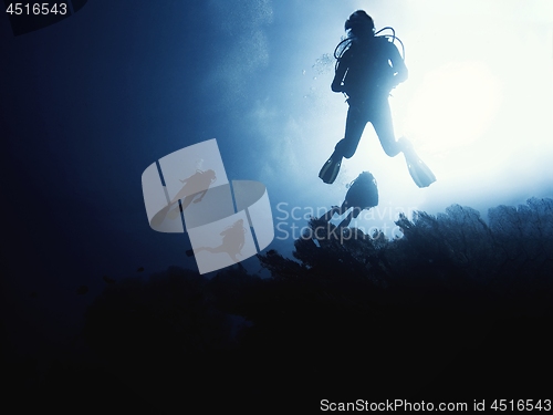 Image of Scuba diver descending to the bottom