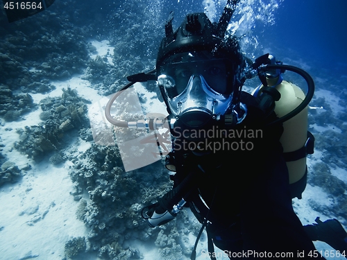 Image of Scuba diver descending to the bottom