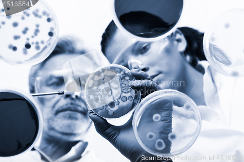 Image of Life scientists researching in the health care laboratory.