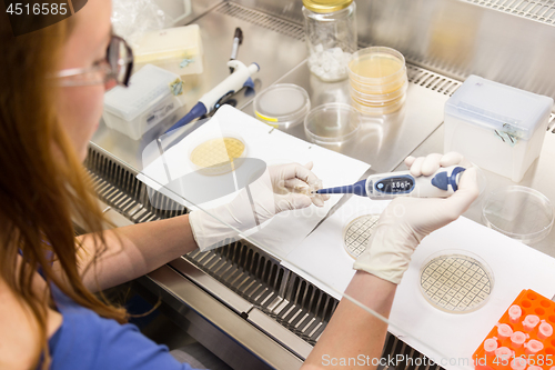 Image of Life scientist researching in moder scientific laboratory.