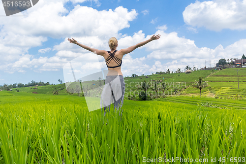 Image of Relaxed healthy sporty woman, arms rised to the sky, enjoying pure nature at beautiful green rice fields on Bali.