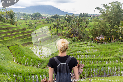 Image of Caucasian female tourist wearing small backpack looking at beautiful green rice fields and terraces of Jatiluwih on Bali island