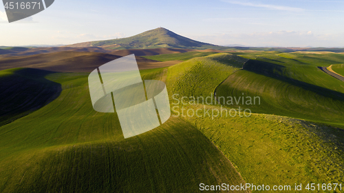 Image of Long Shadows at Steptoe Butte Palouse Region Sunset