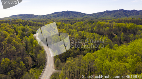 Image of The Blue Ridge Parkway Cuts Through Dense Mountain Forest