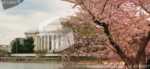 Image of Jefferson Memorial and People Enjoying The Tidal Basin Blossoms