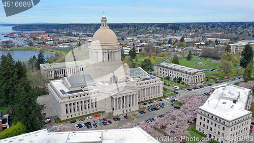 Image of Aerial Perspective Over Spring Cherry Blossoms at the Washington