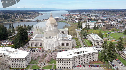 Image of Spring Cherry Blossoms at the State Capital Building in Olympia 