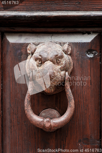 Image of Ancient italian lion shaped door knocker.