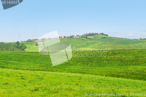 Image of Beautiful spring landscape with hills in Tuscany