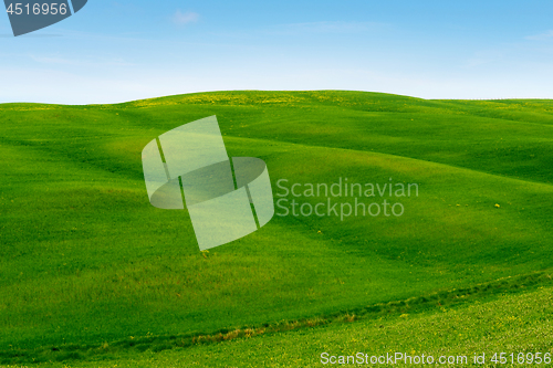 Image of Beautiful spring minimalistic landscape with green hills in Tuscany