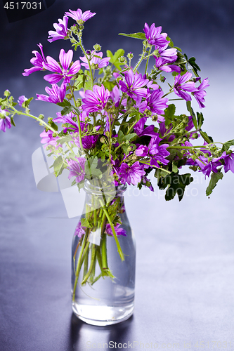 Image of Wild violet flowers in glass bottle on black background. 
