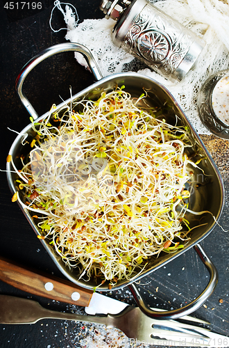 Image of Raw sprouts