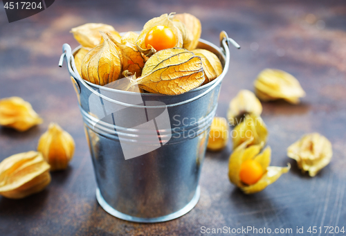 Image of Physalis fruit