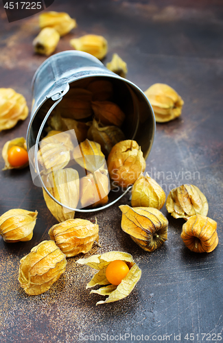 Image of Physalis fruit