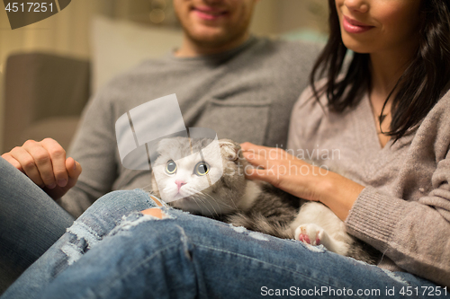 Image of close up of couple with scottish fold cat