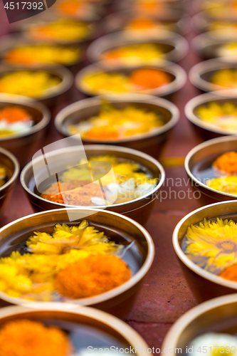 Image of Buddhist flower offerings or gifts in bowls and rows