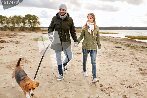 Image of happy couple with beagle dog on autumn beach