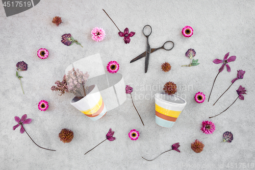 Image of Pink flowers and flowerpots on concrete background