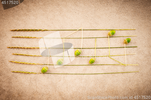 Image of Music notes made of acorns and grass on retro background