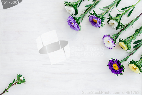 Image of White and purple asters on white wooden background