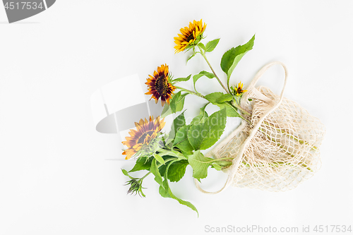 Image of Sunflowers in a mesh bag on white background