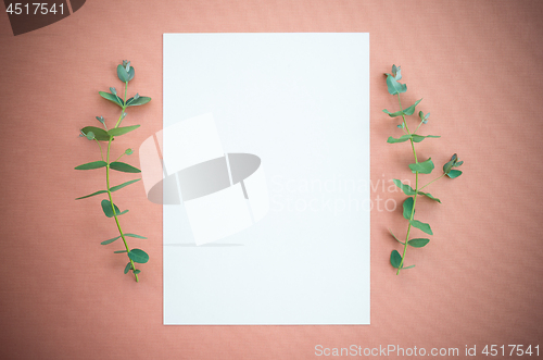 Image of Blank paper and eucalyptus on rosewood colored canvas