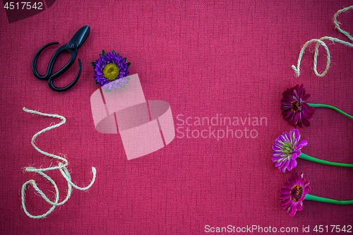 Image of Florist workspace on magenta canvas background