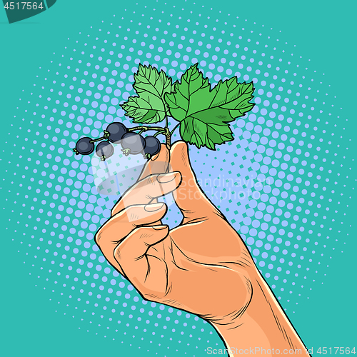 Image of sprig of black currant in the hands