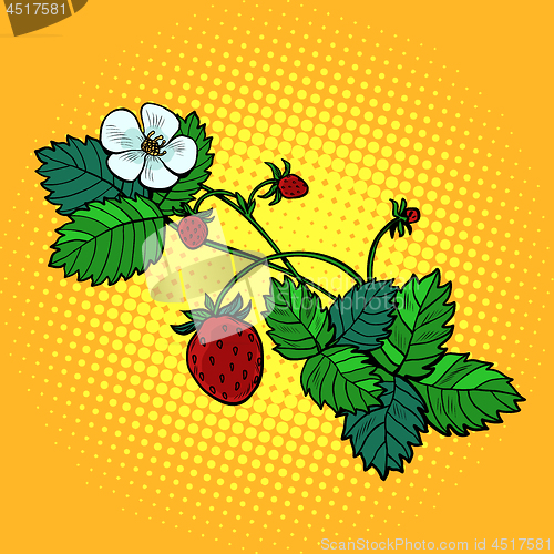 Image of forest strawberry twig