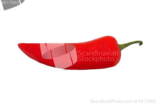 Image of Chili pepper on white