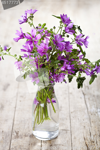 Image of Wild violet flowers in glass bottle on rustic wooden table.