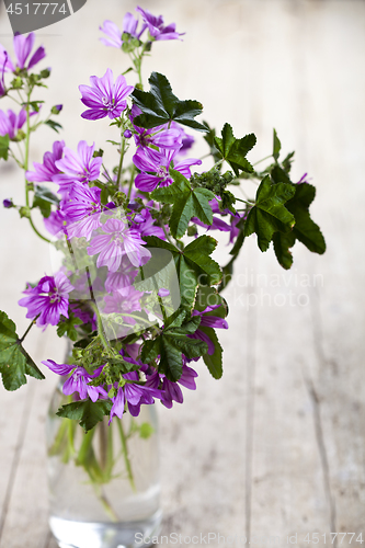 Image of Wild violet flowers in glass bottle on rustic wooden table.