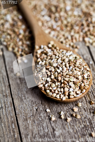 Image of Organic green dry buckwheat seads in wooden spoon closeup on rus
