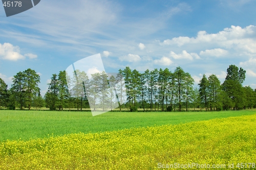 Image of Spring Landscape